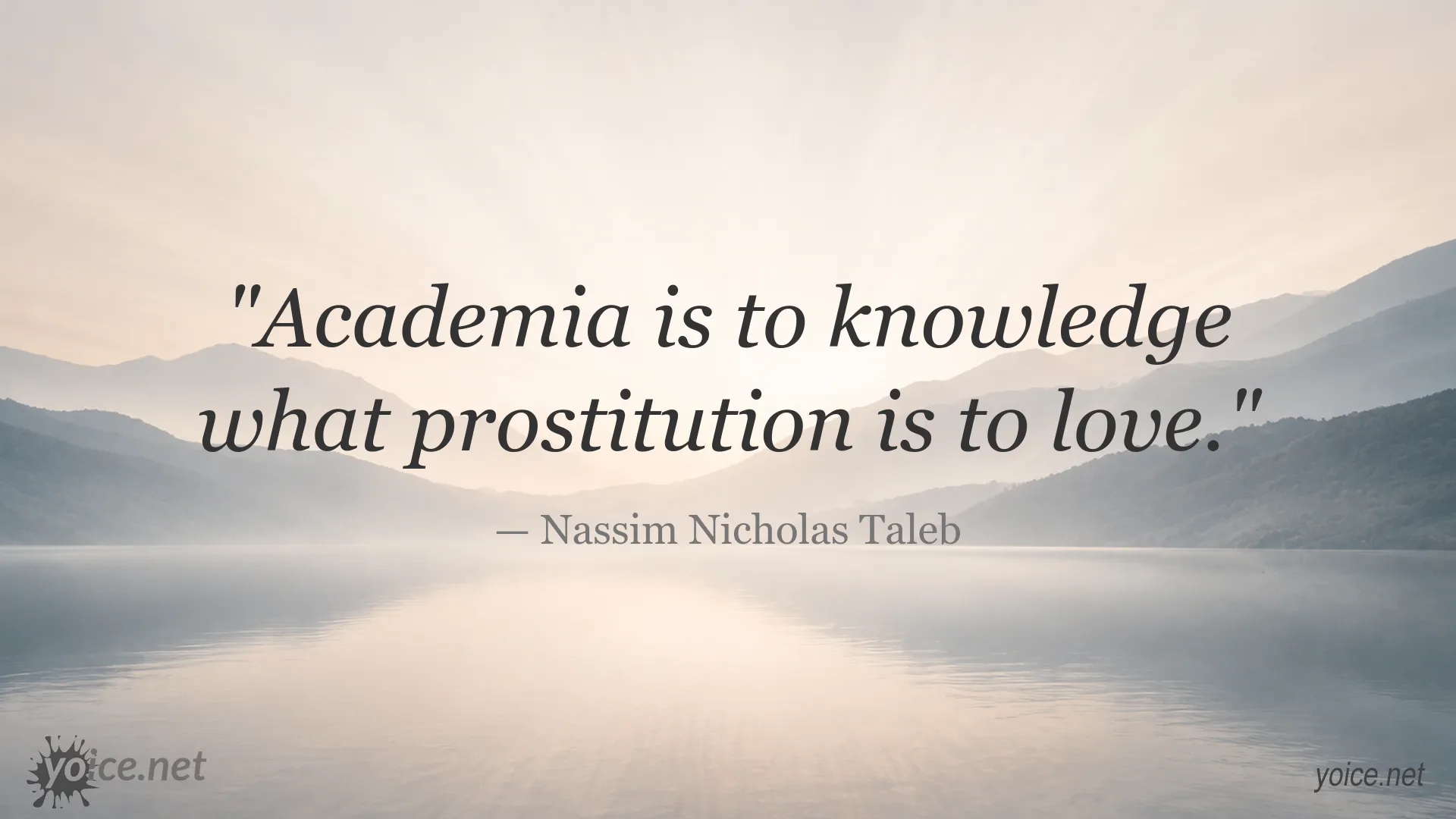 Quote image featuring Nassim Nicholas Taleb's perspective on academia and knowledge