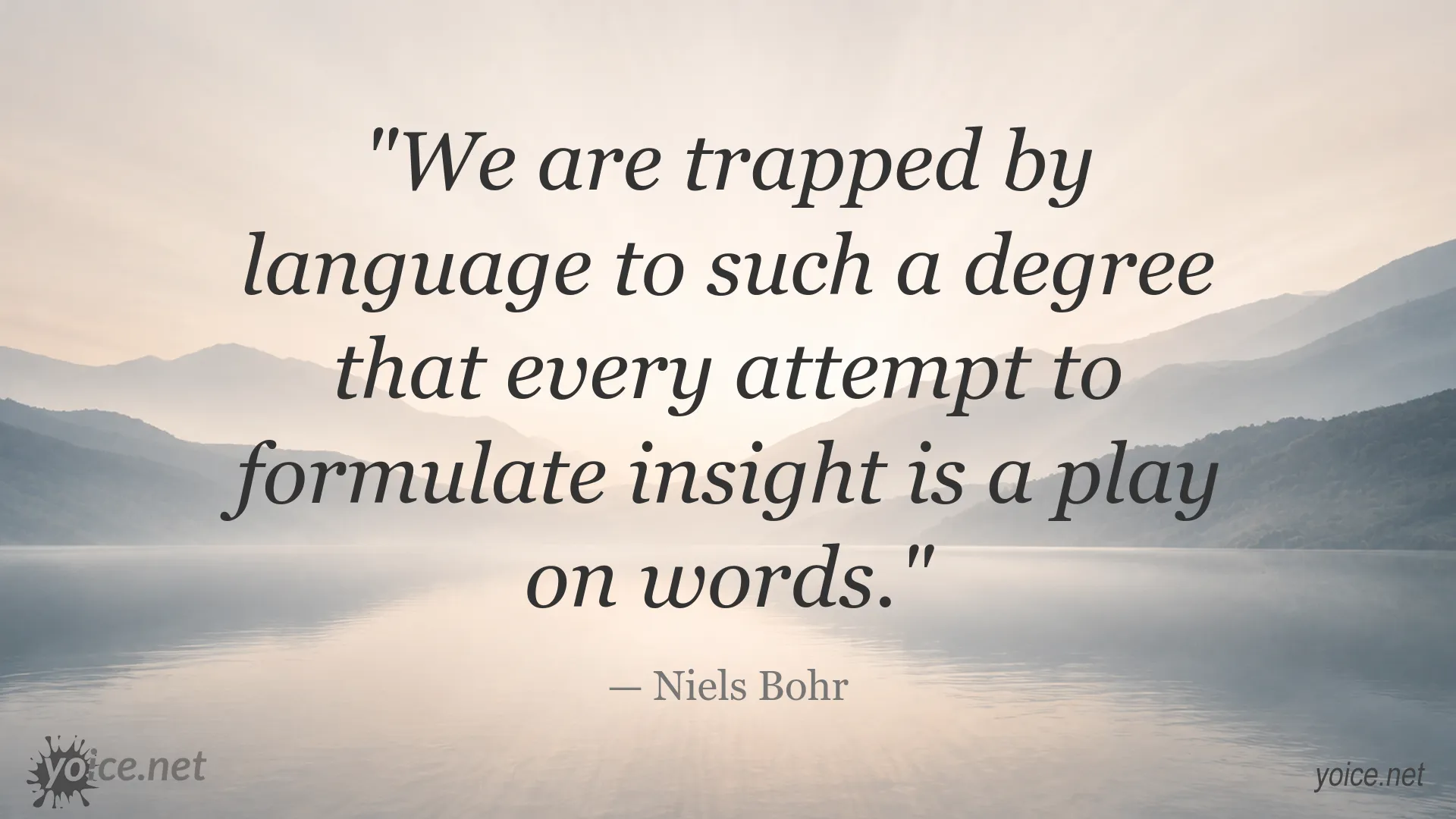 Niels Bohr quote image about language and insight