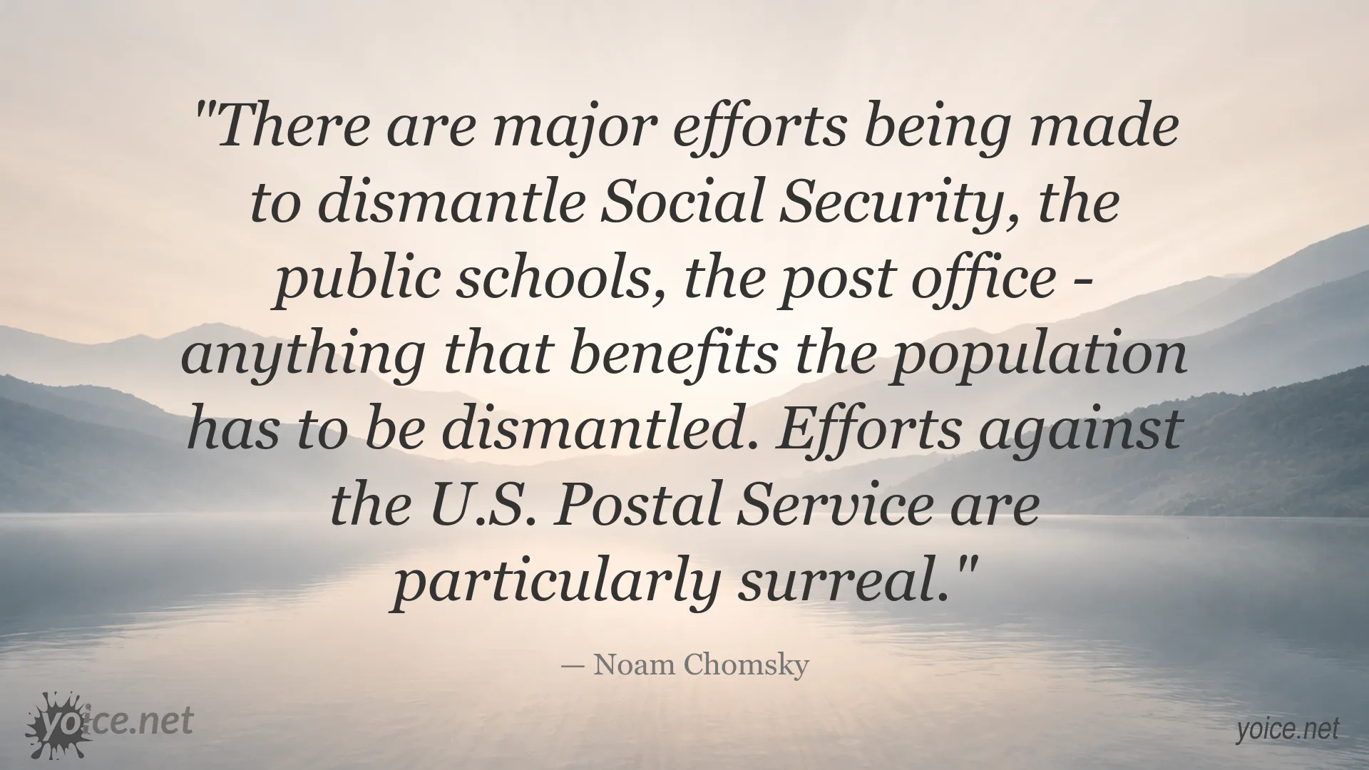 Noam Chomsky quote about efforts to dismantle Social Security and other public services