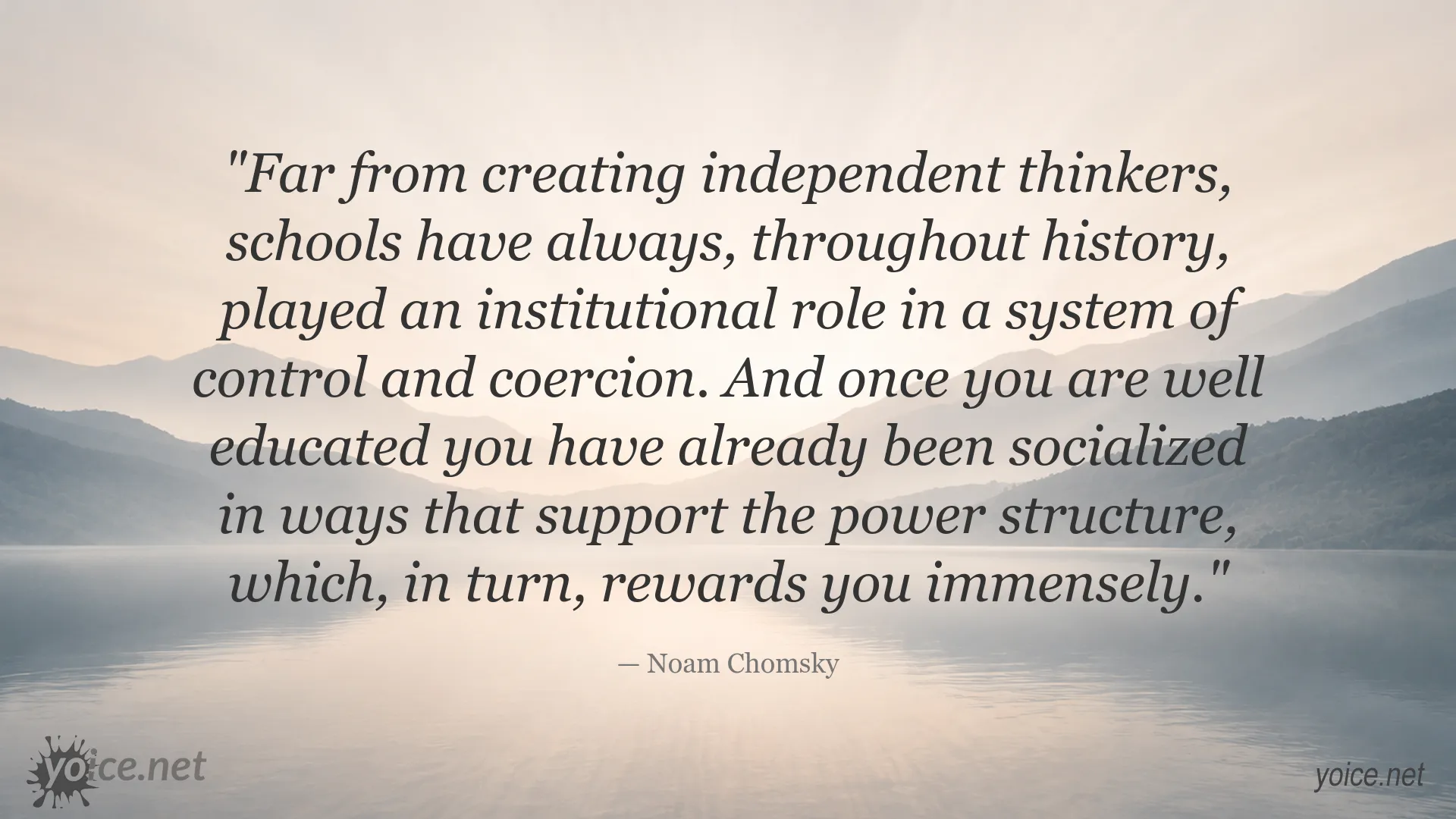 Noam Chomsky quote about schools, education, and power structures