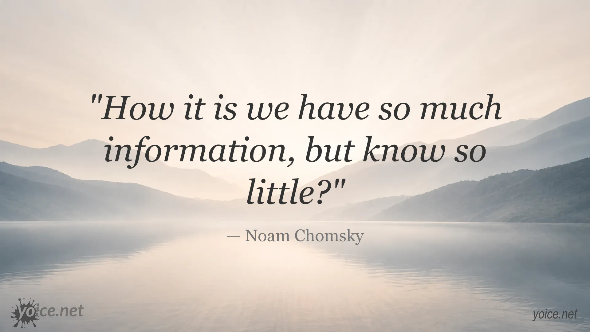 Inspirational Noam Chomsky quote about the difference between information and knowledge