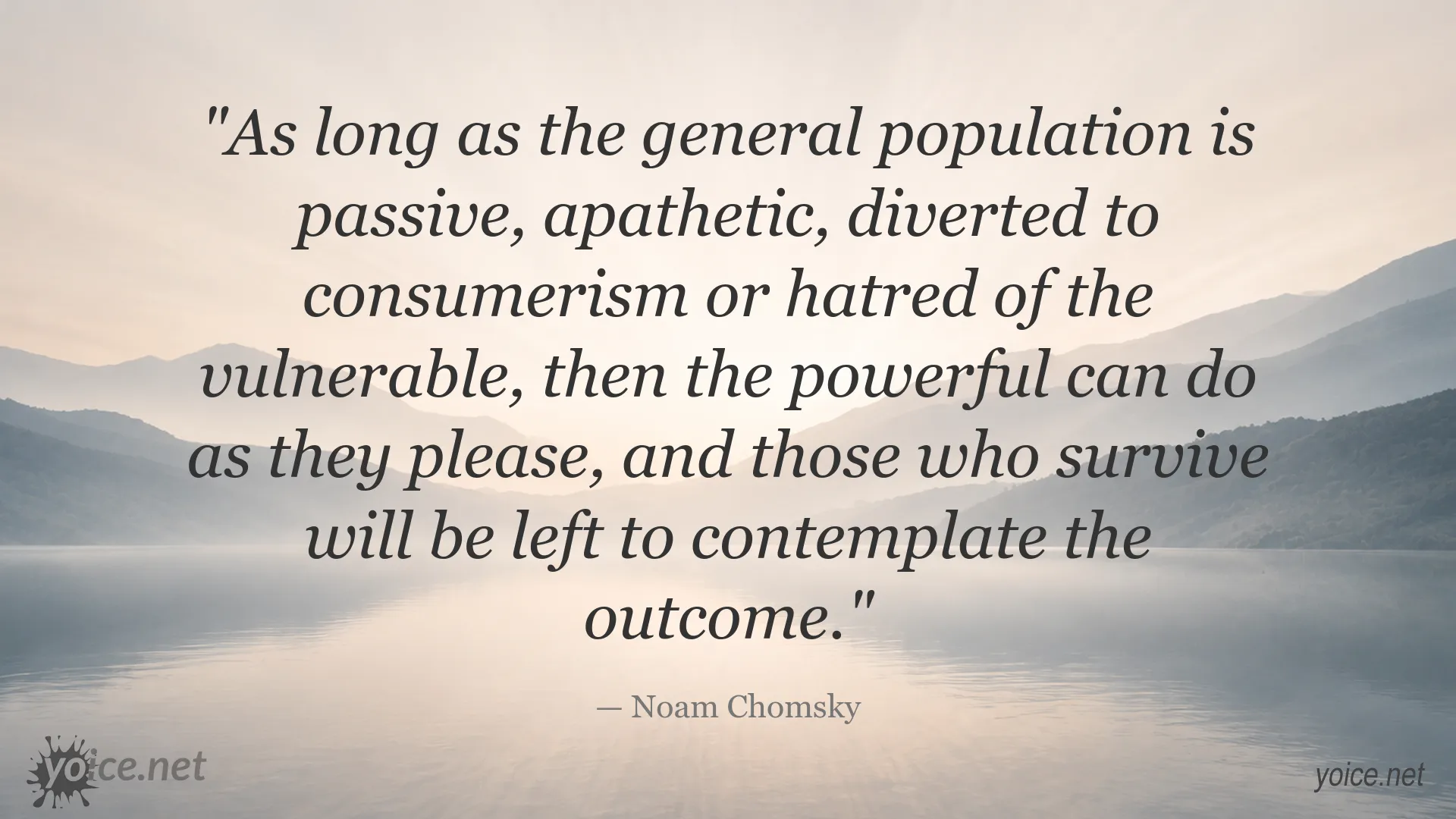 Noam Chomsky quote about power, public passivity, consumerism, and hatred of vulnerable people