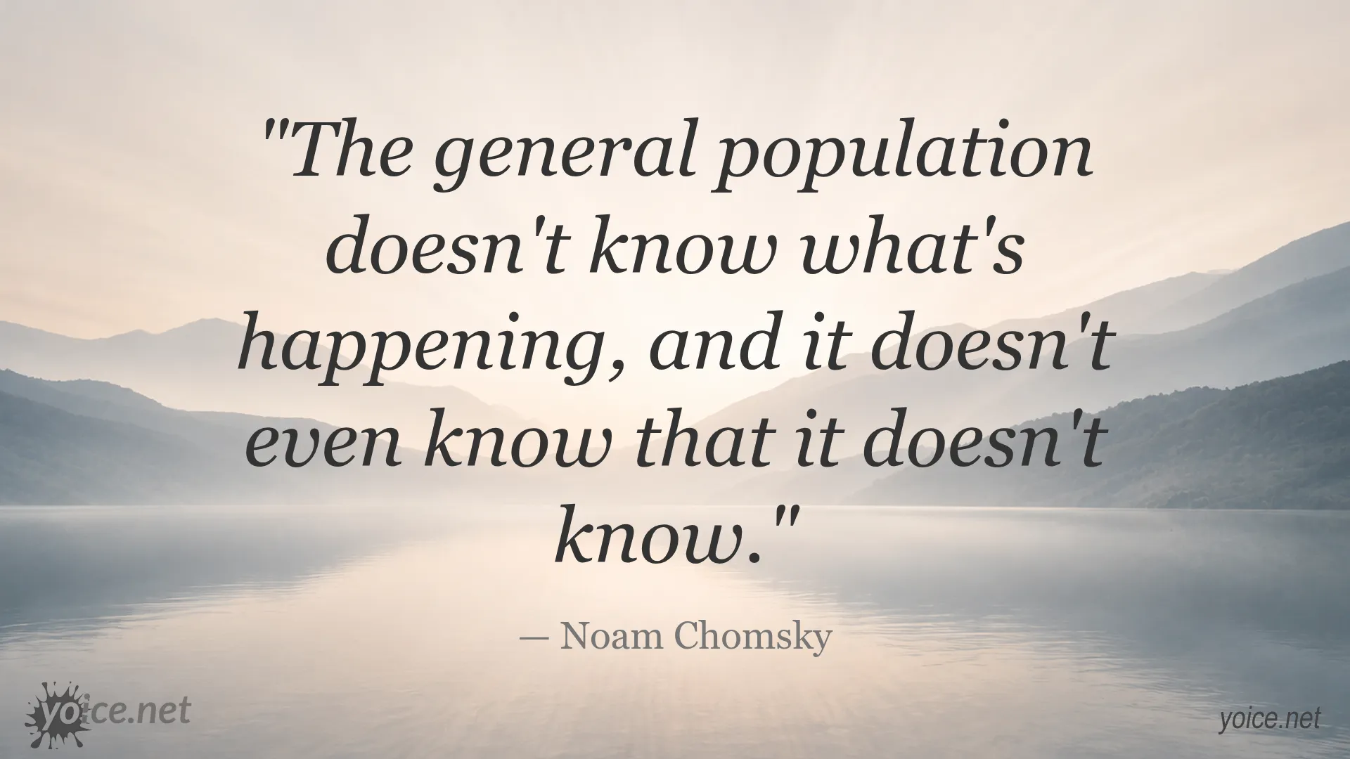 Quote about public ignorance by Noam Chomsky