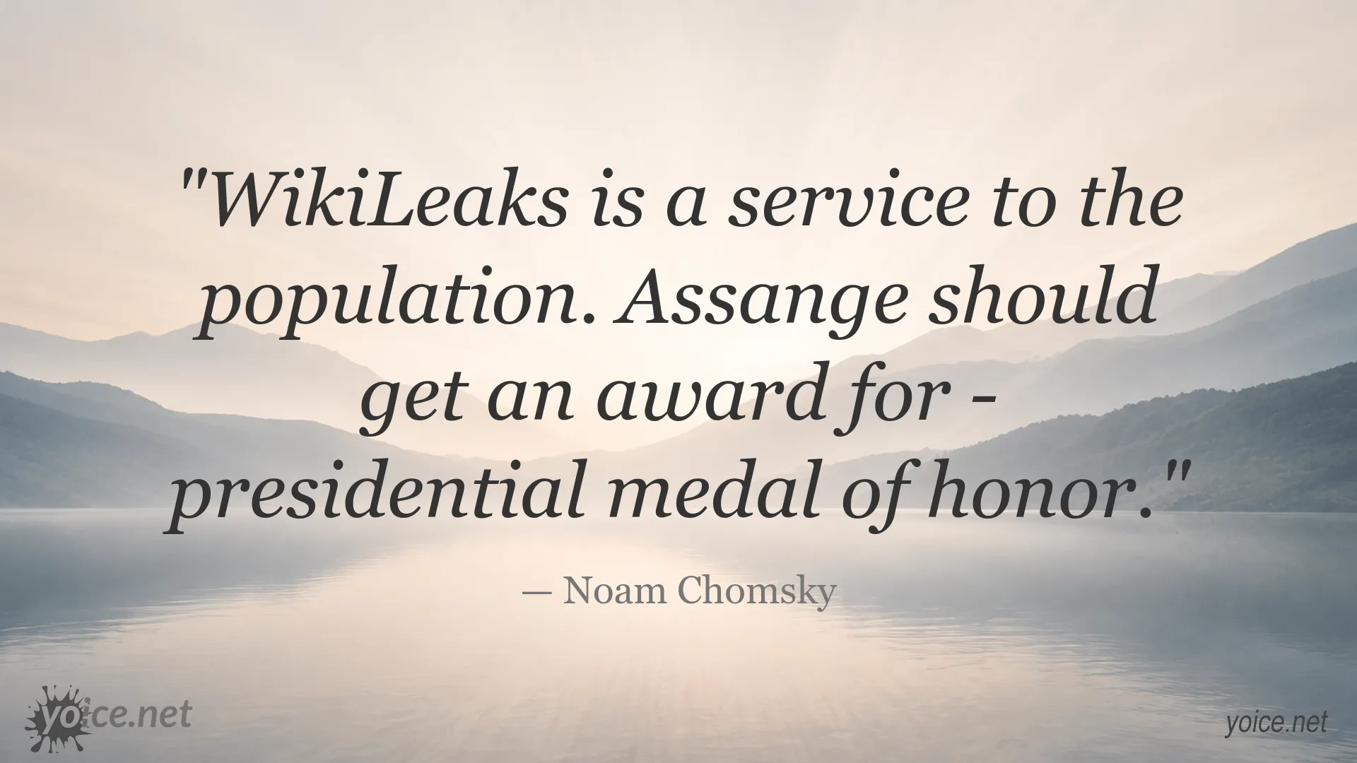 Noam Chomsky quote image about WikiLeaks and Julian Assange