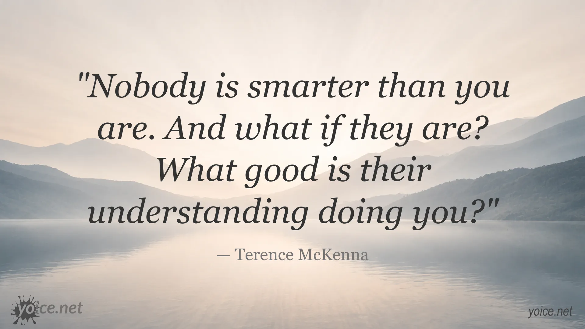 Terence McKenna quote about intelligence, understanding, and self-confidence