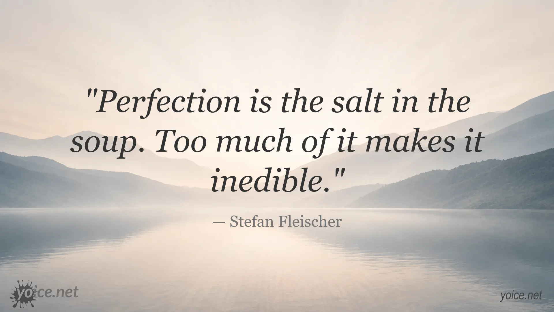 Quote by Stefan Fleischer about perfection being the salt in the soup and too much making it inedible