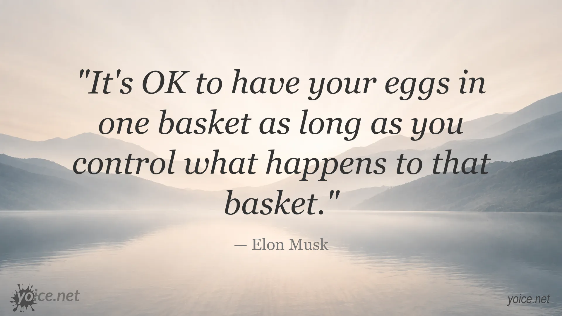 Inspirational risk and control quote by Elon Musk