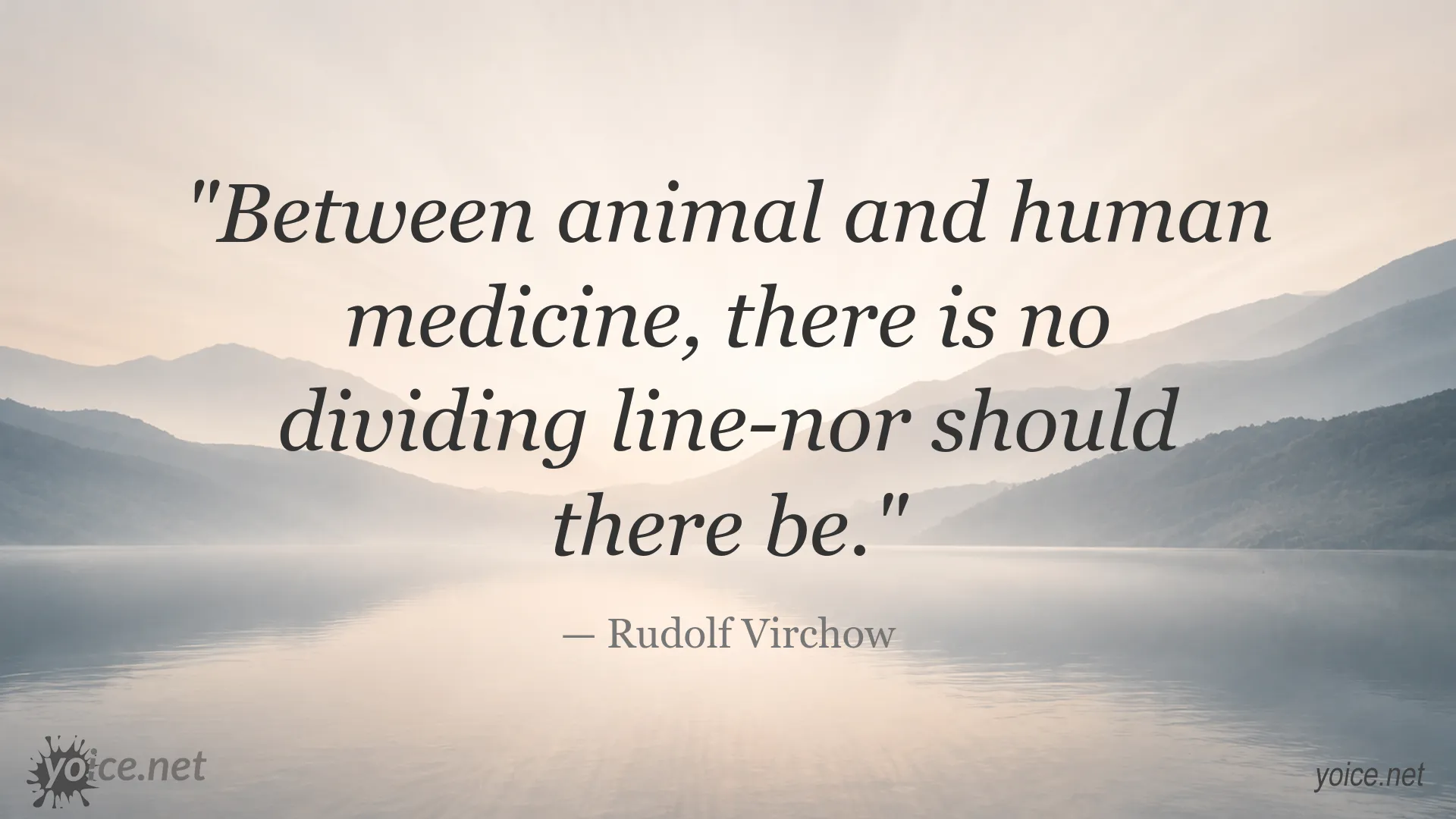 Rudolf Virchow quote image about the connection between veterinary and human medicine