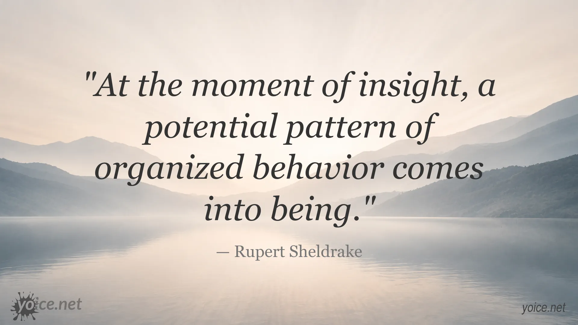 Quote by Rupert Sheldrake about insight and organized behavior