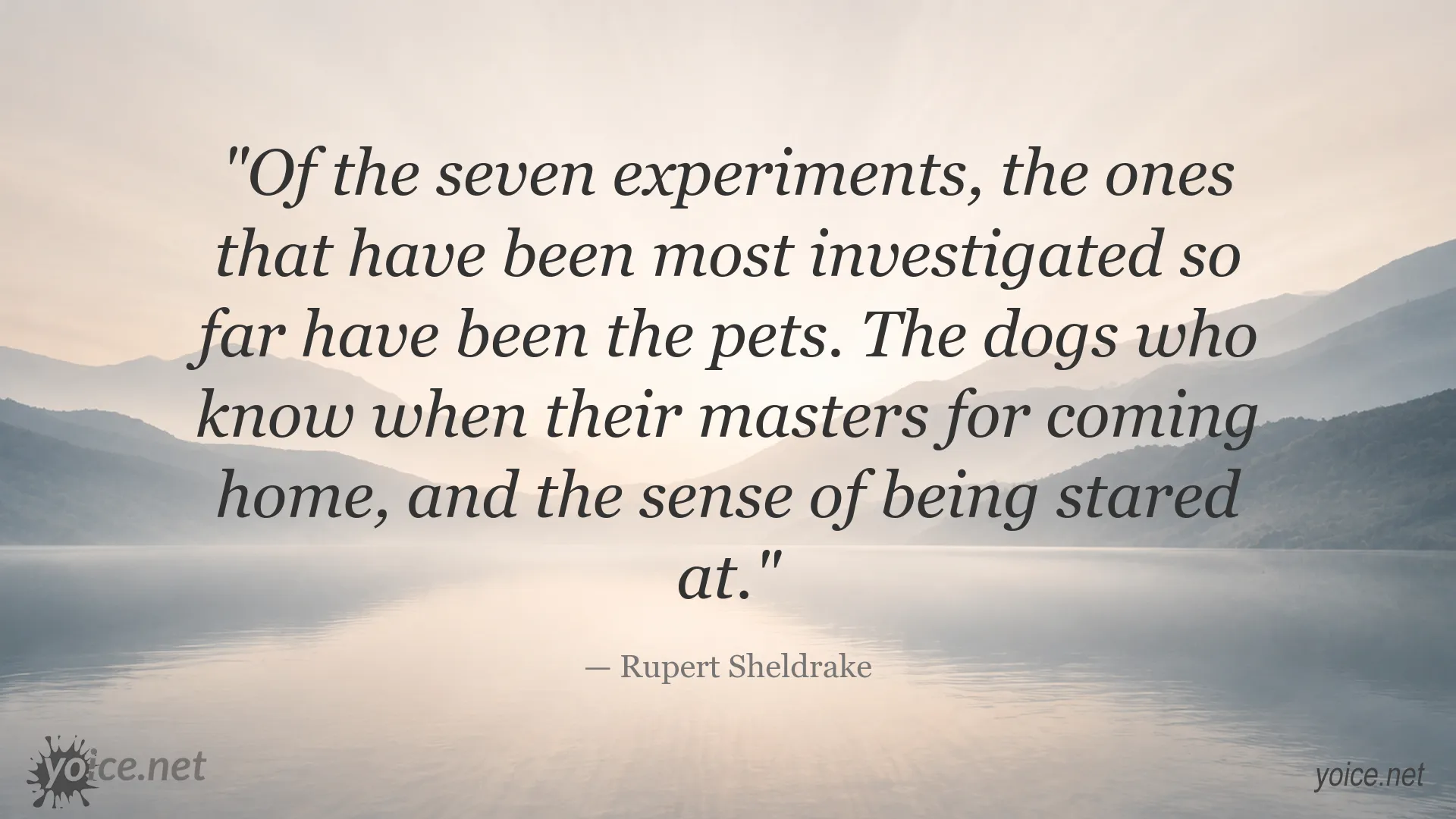 Rupert Sheldrake quote about pets, dogs, and the sense of being stared at