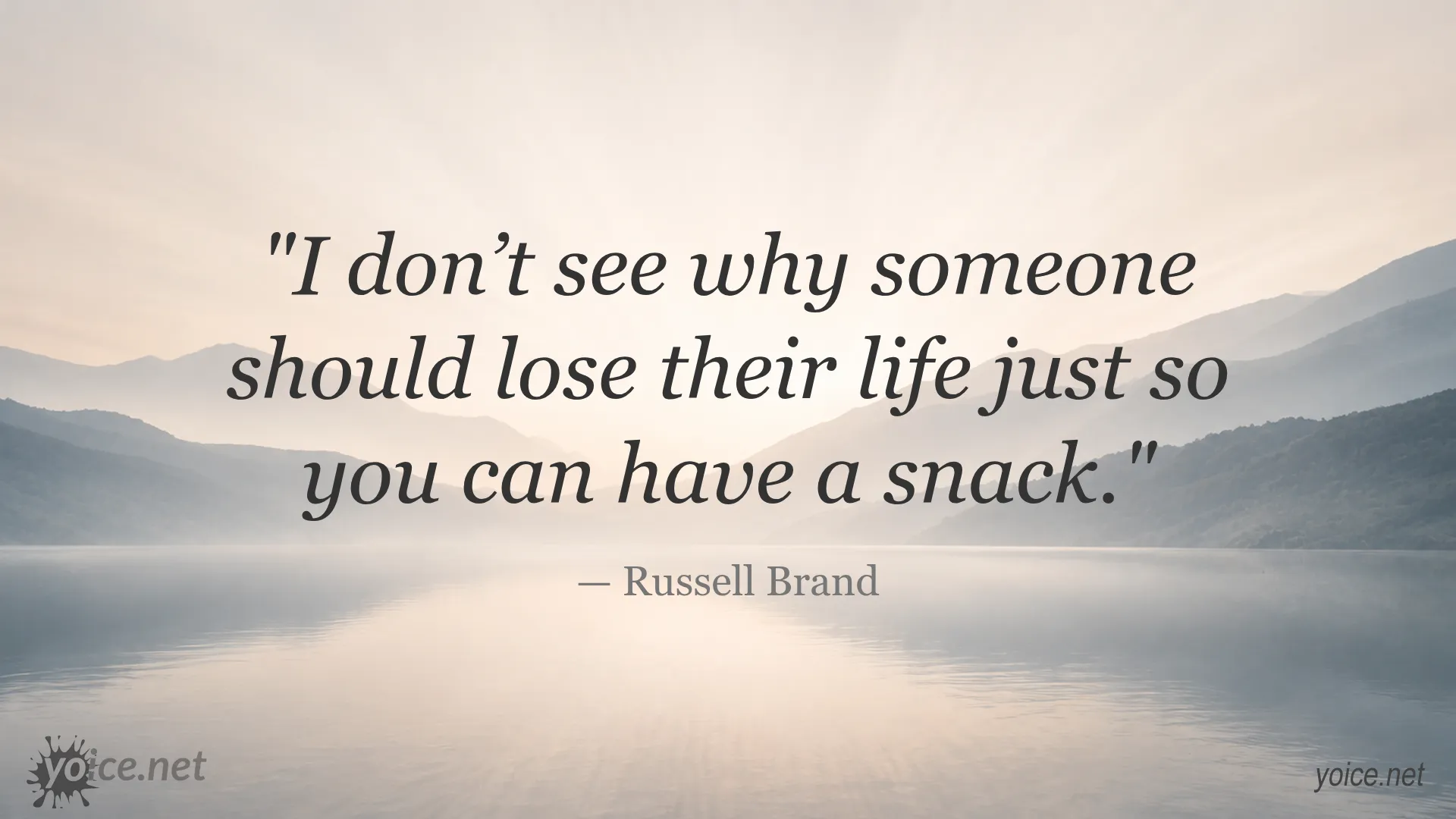 Quote by Russell Brand about the value of life over snacks