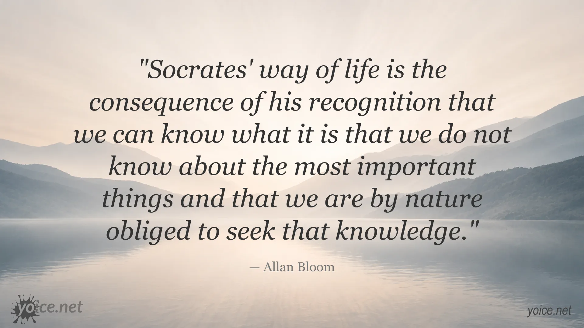Quote image featuring Allan Bloom on Socrates, knowledge, and understanding