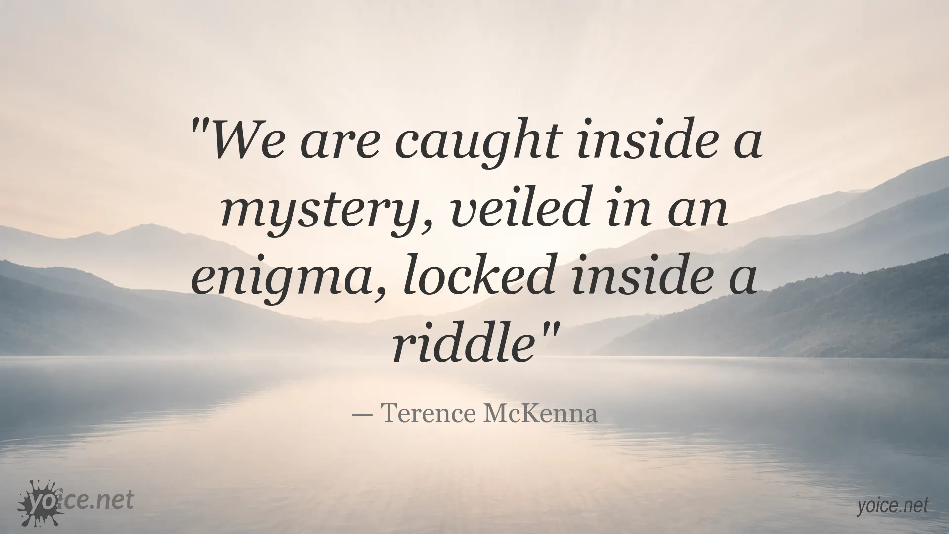 Inspirational quote image attributed to Terence McKenna about mystery and the human experience