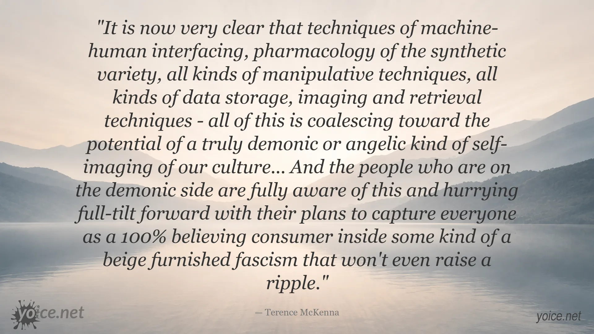 Terence McKenna quote about human-machine interface, technology, and society