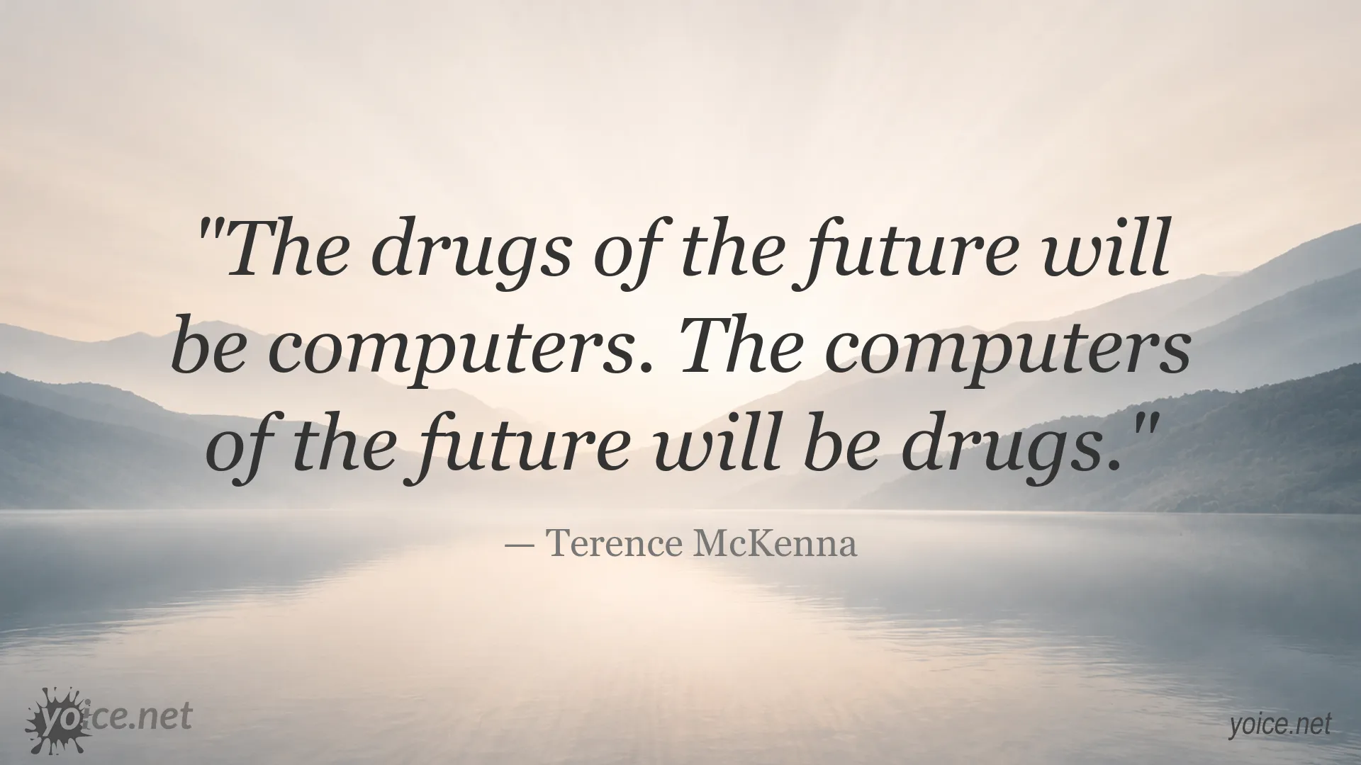Inspirational Terence McKenna quote image about computers and future drugs