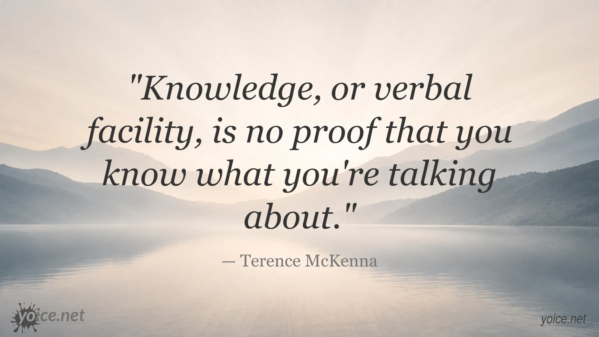 Quote image featuring Terence McKenna on knowledge and verbal facility