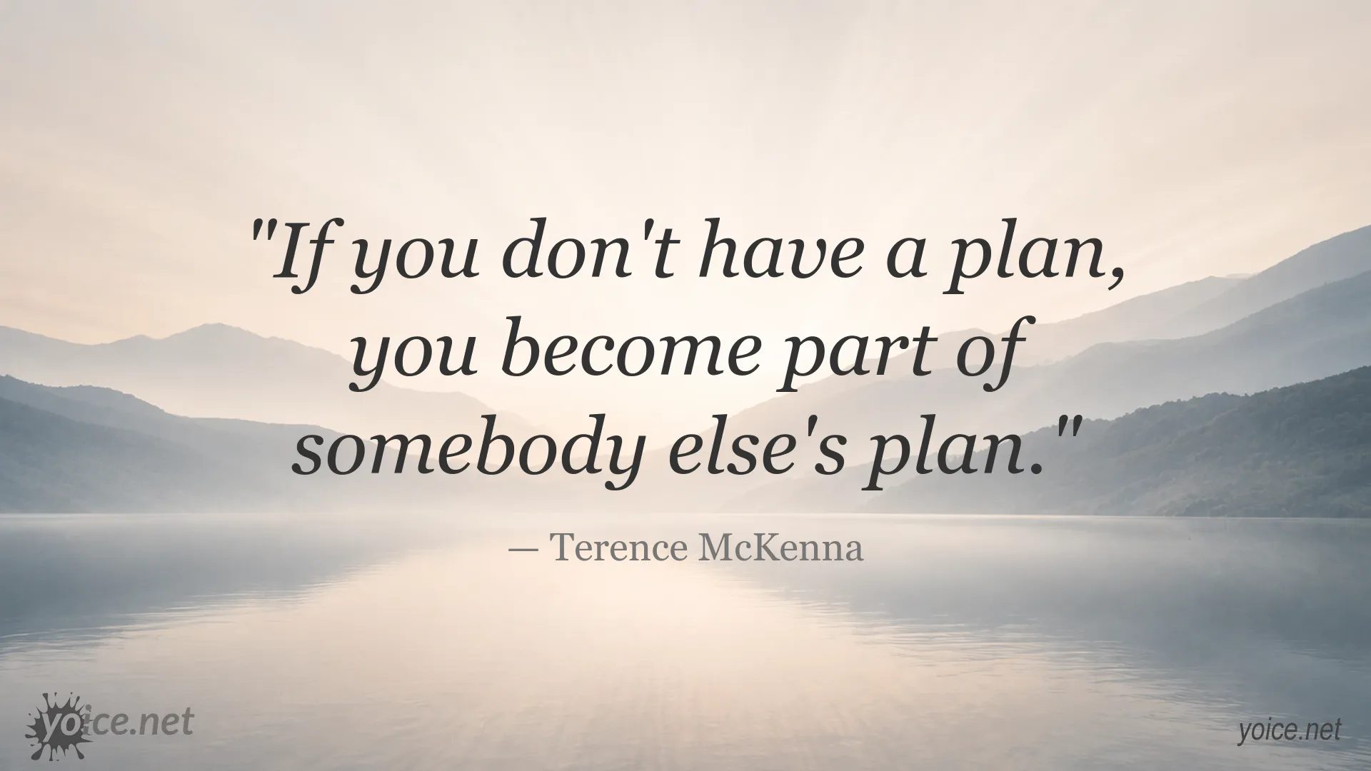 Inspirational Terence McKenna quote about the importance of having a personal plan