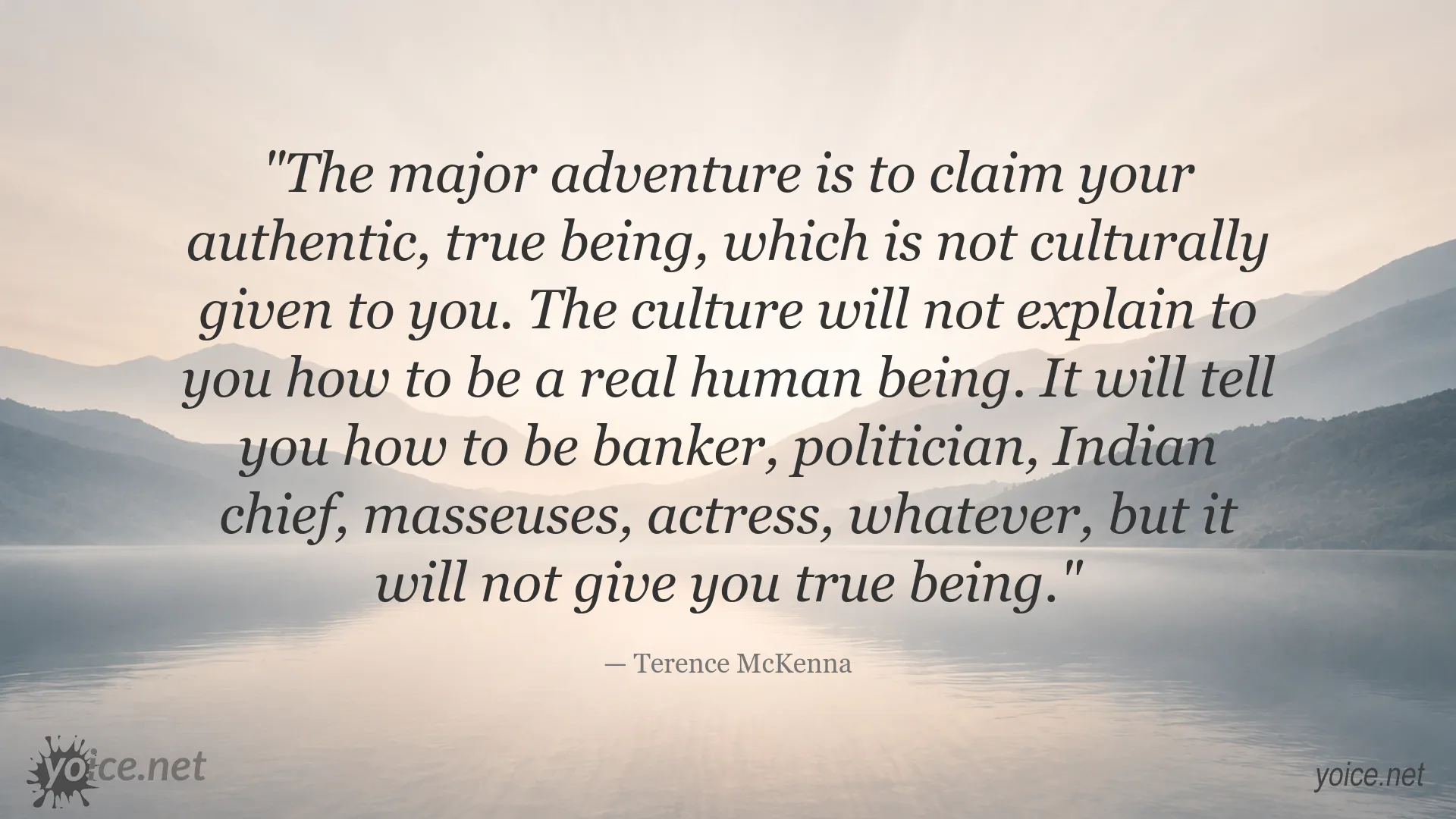 Terence McKenna quote about discovering your authentic self beyond cultural expectations