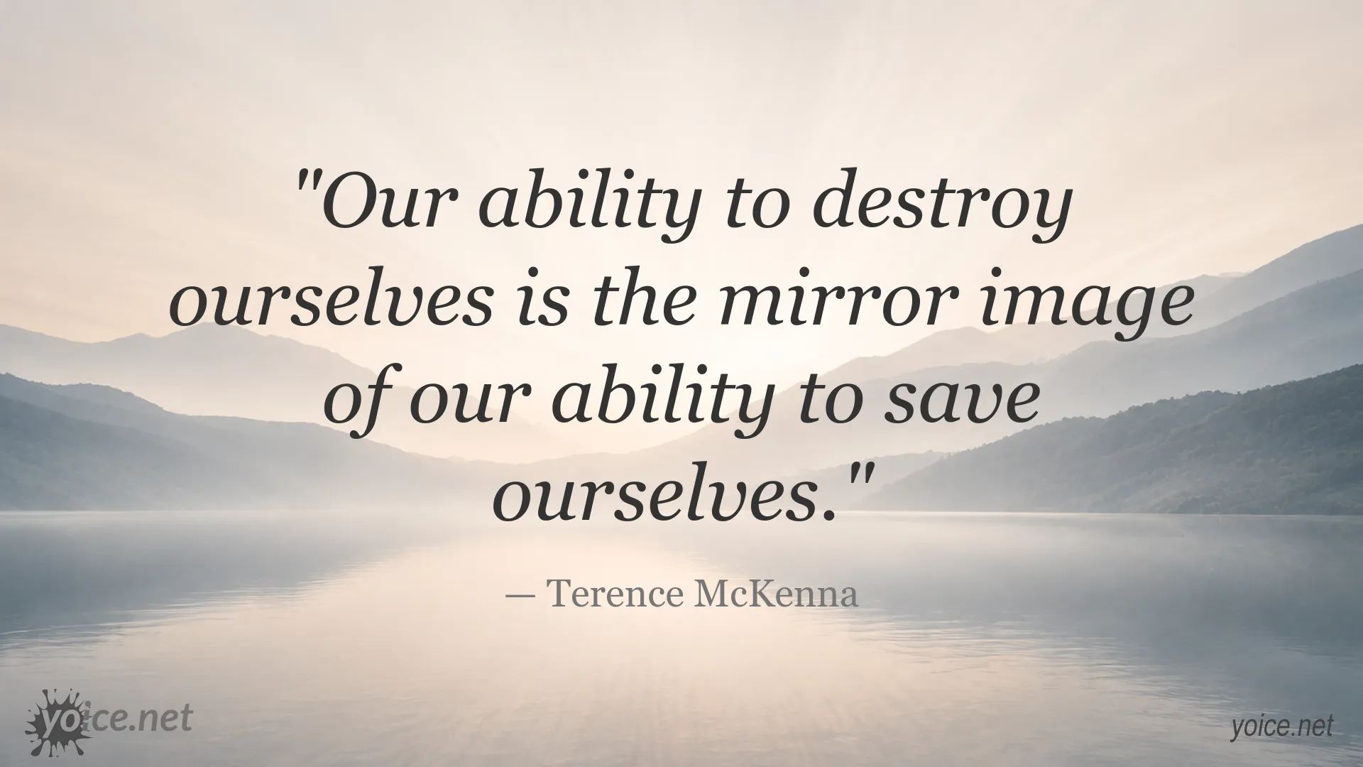 Terence McKenna quote about humanity's ability to destroy and save itself