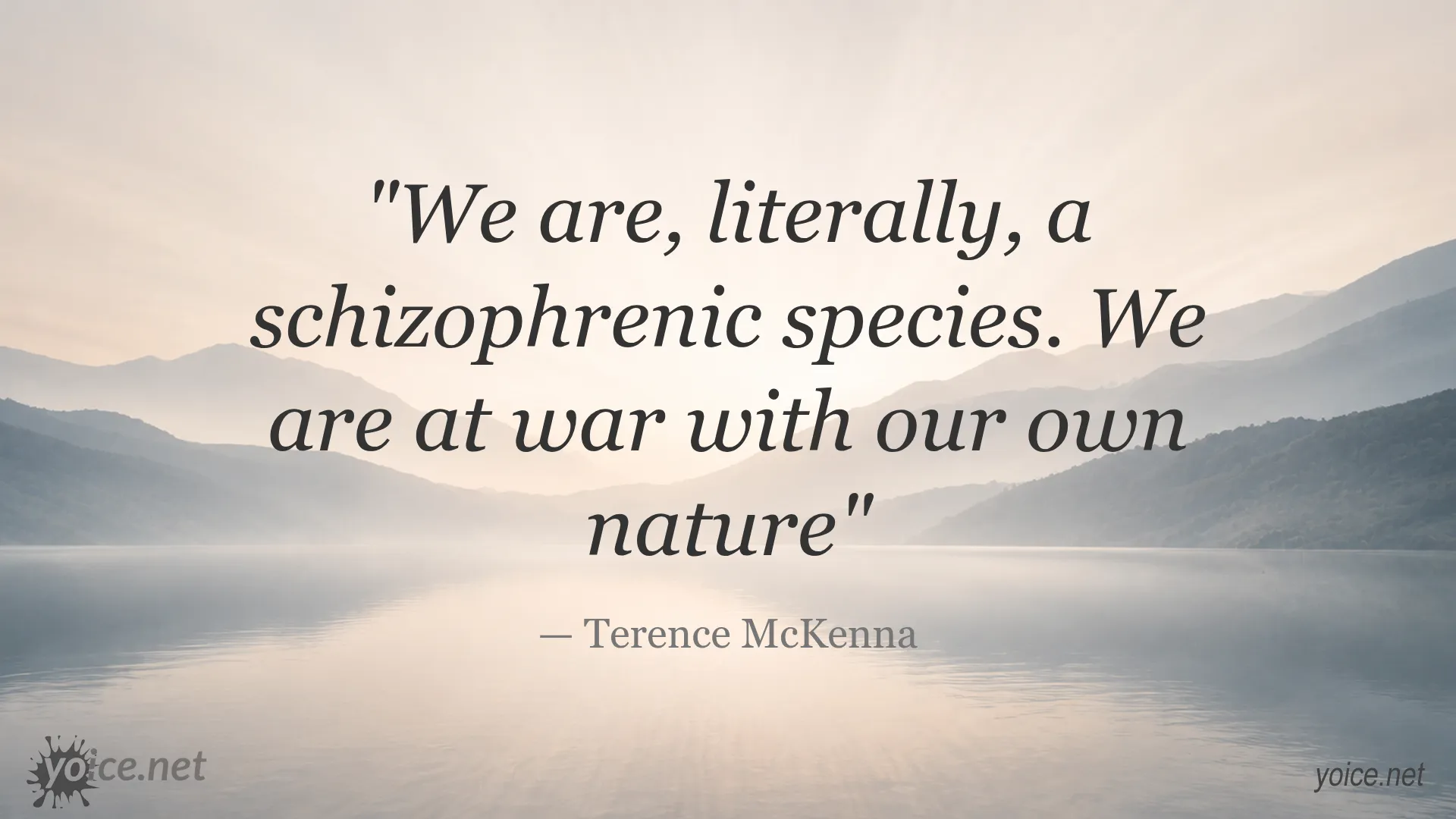 Quote by Terence McKenna about humans being at war with their own nature