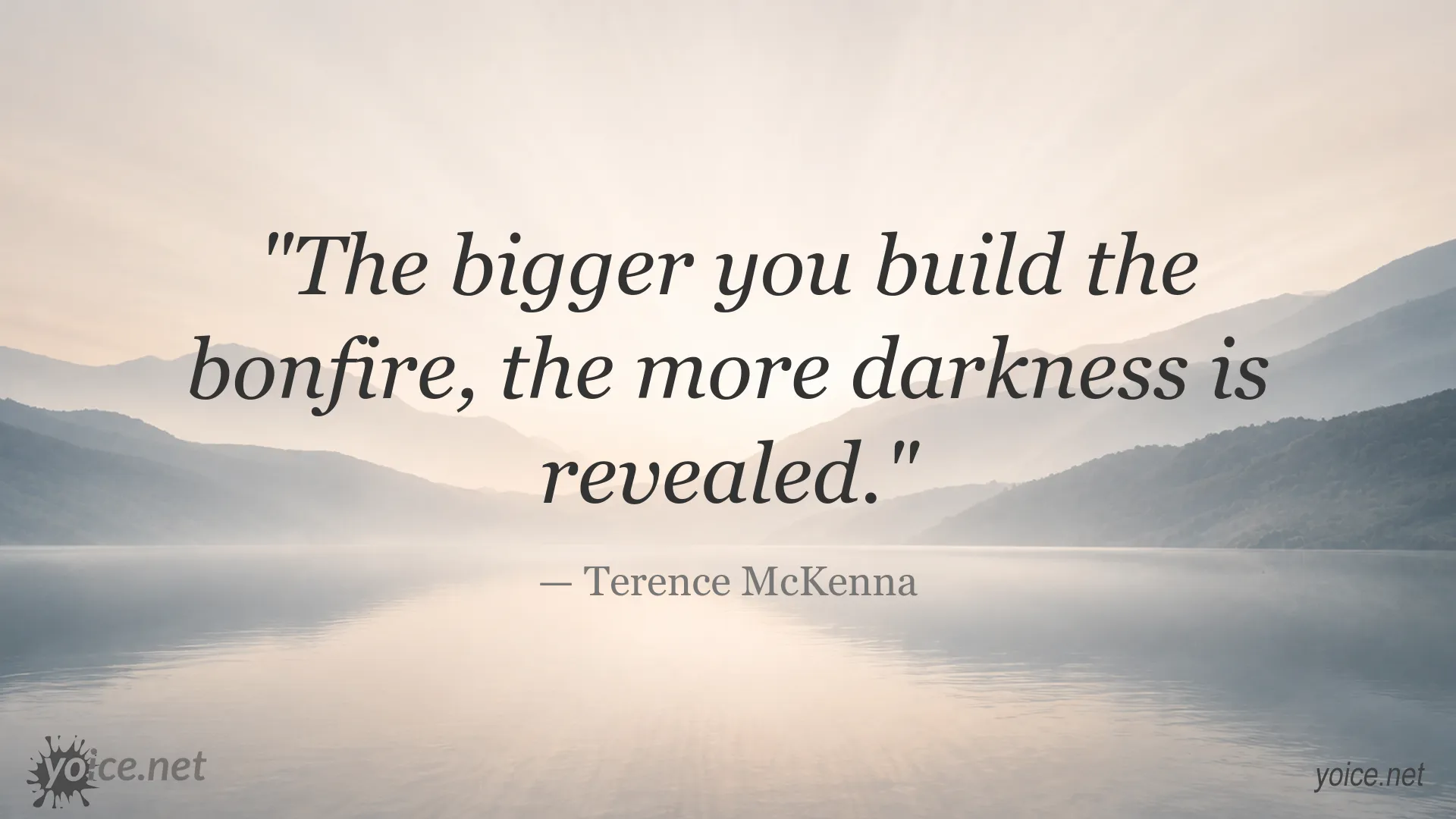 Inspirational Terence McKenna quote about insight and darkness