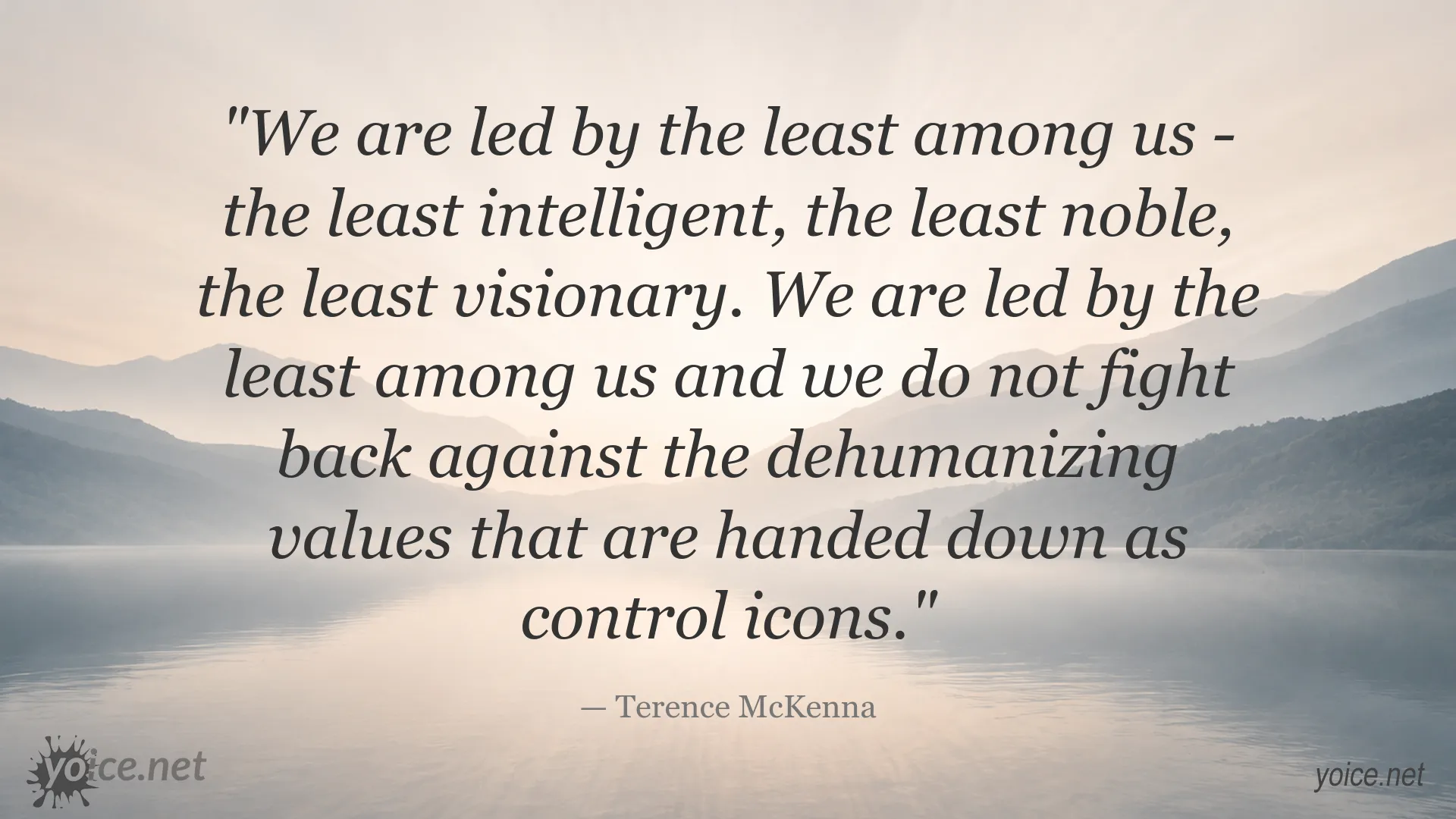 Terence McKenna quote image about leadership and dehumanizing values