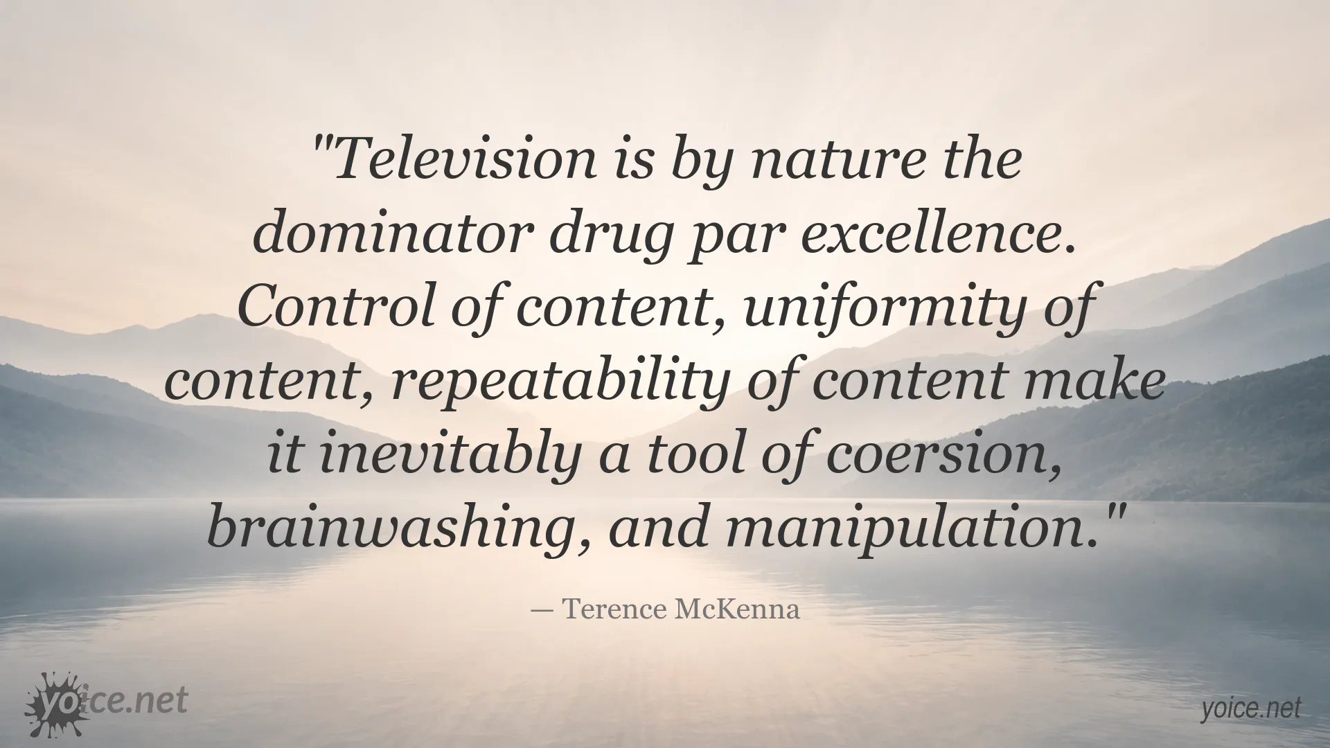 Terence McKenna quote about television, control, brainwashing, and manipulation