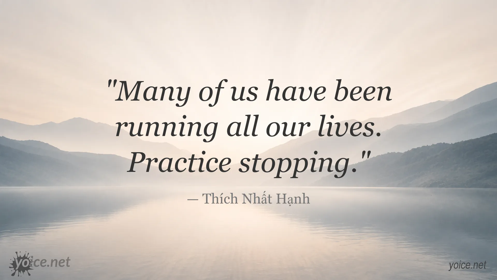 Mindfulness quote by Thích Nhất Hạnh about the importance of stopping
