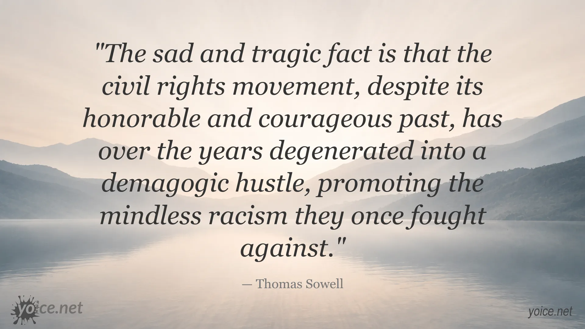 Thomas Sowell quote image about the civil rights movement and racism