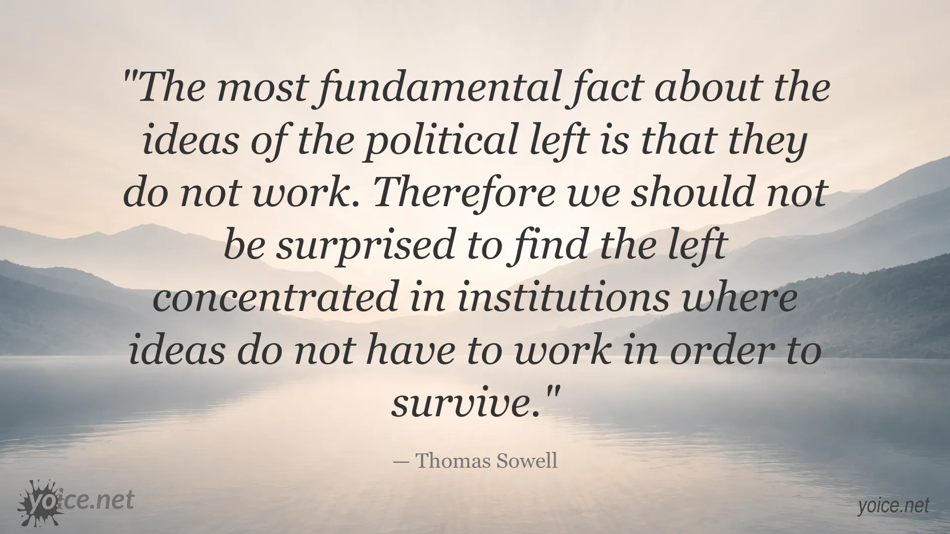 Thomas Sowell quote about the effectiveness of leftist ideas