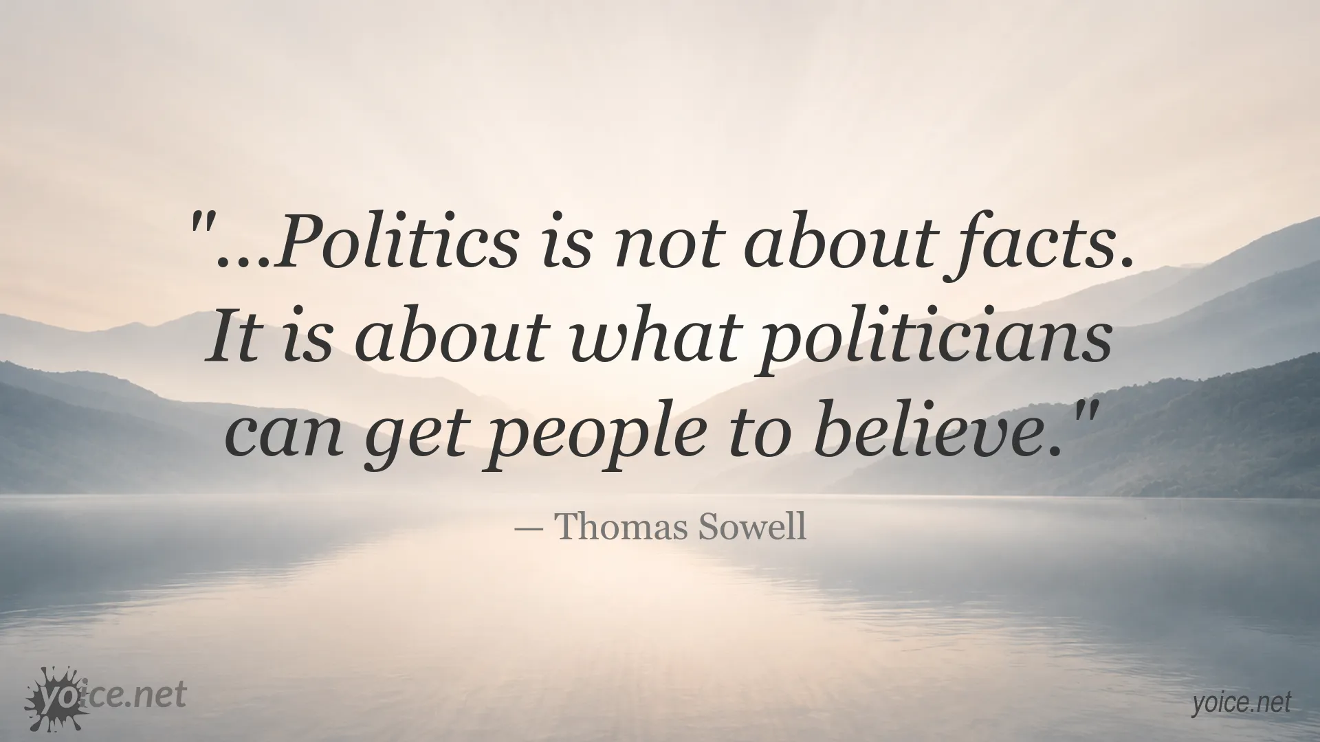 Thomas Sowell quote about politics and the public's beliefs