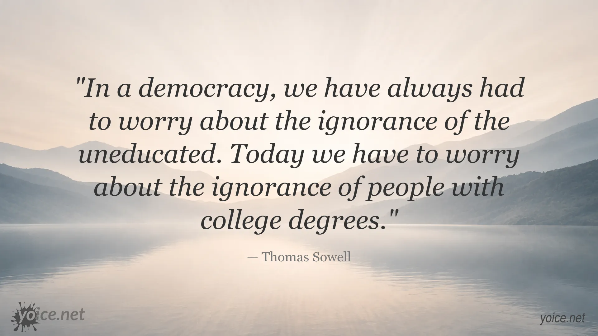 Thomas Sowell quote image about ignorance in democracy
