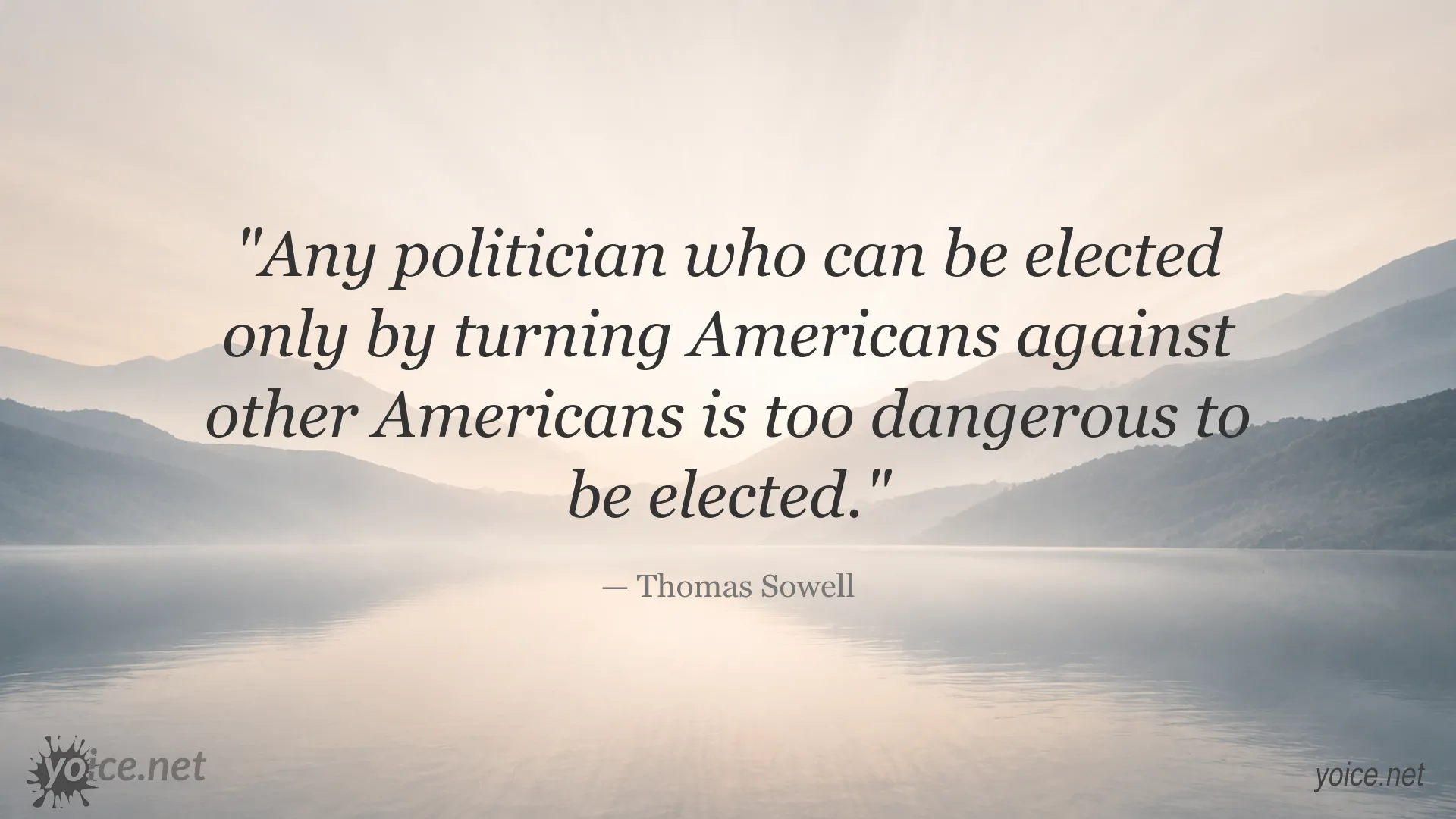 Thomas Sowell quote about the dangers of political division and turning Americans against one another
