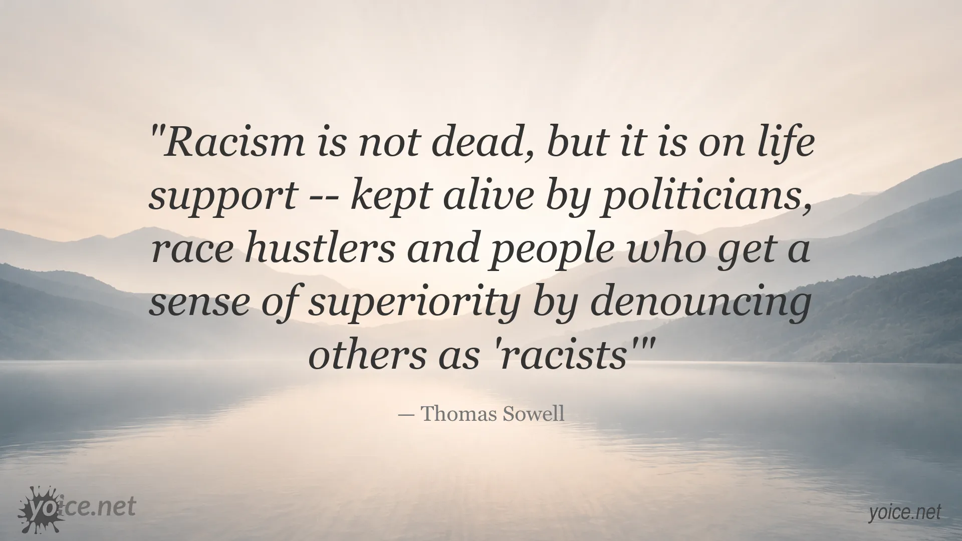 Thomas Sowell quote image about the persistence of racism and racial politics