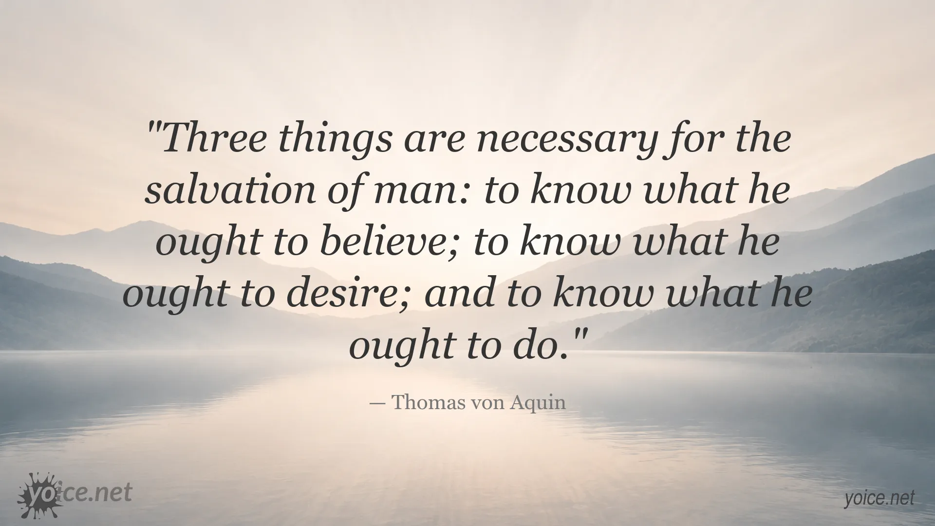 Inspirational Thomas von Aquin quote about belief, desire, and action