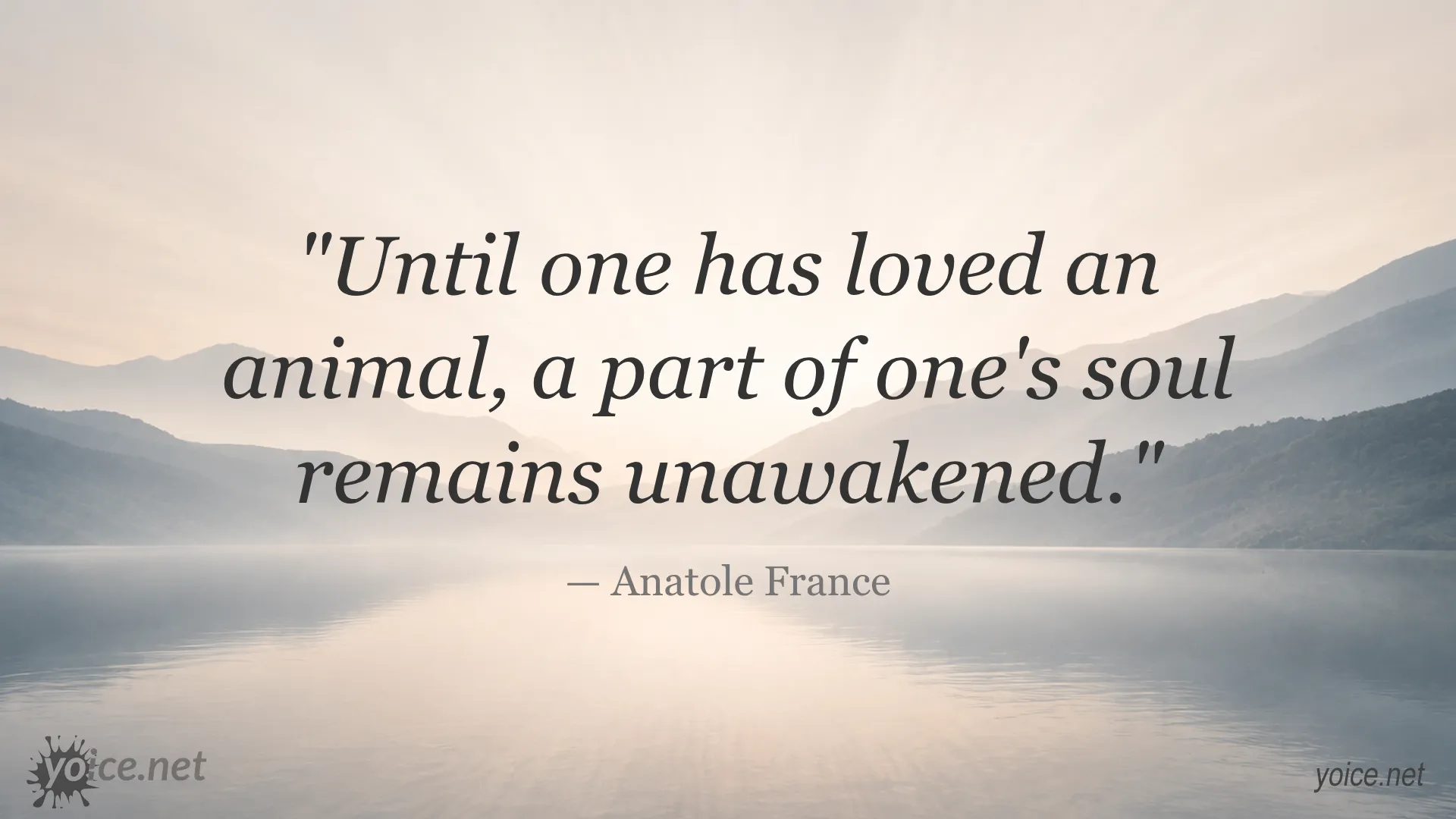 Quote Until one has loved an animal by Anatole France