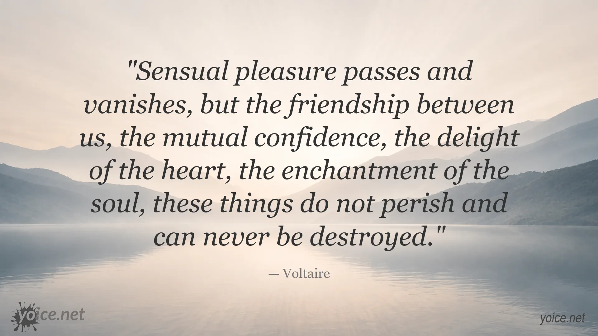Inspirational friendship quote image attributed to Voltaire