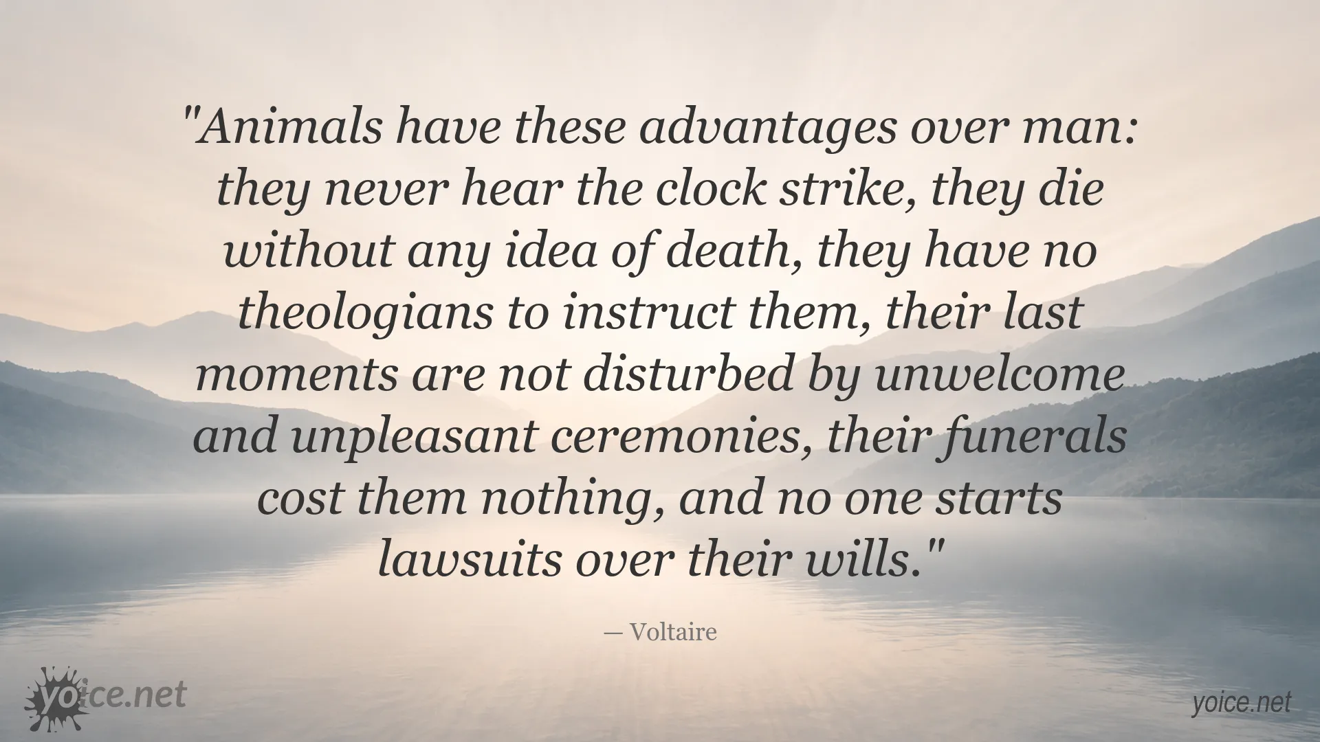 Voltaire quote about animals, death, funerals, and human social rituals