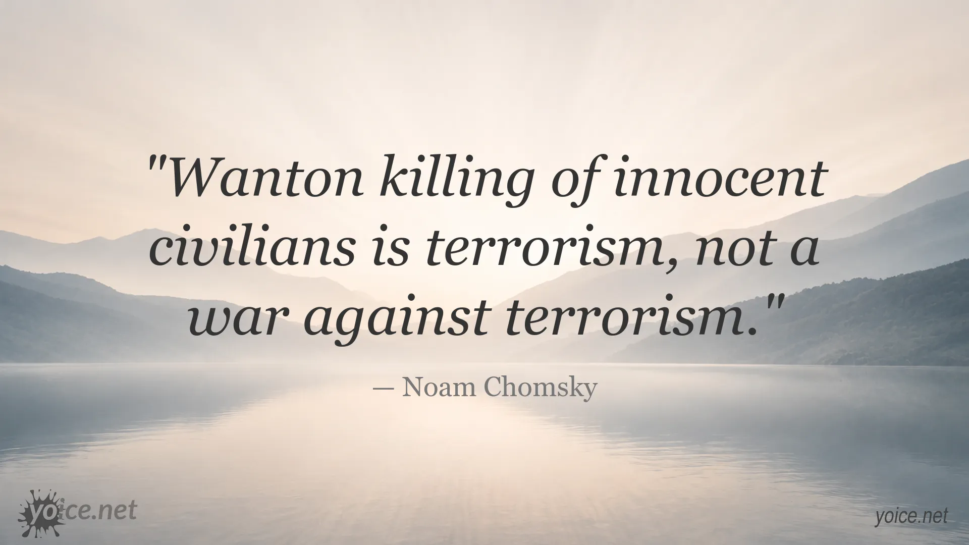 Noam Chomsky quote about wanton killing of innocent civilians and terrorism